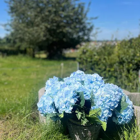 Schweden Chalet, Haus 3 * Warstein