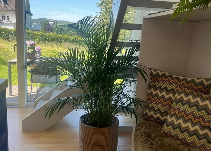 Domek alpejski Schweden Chalet, Haus 3 Warstein